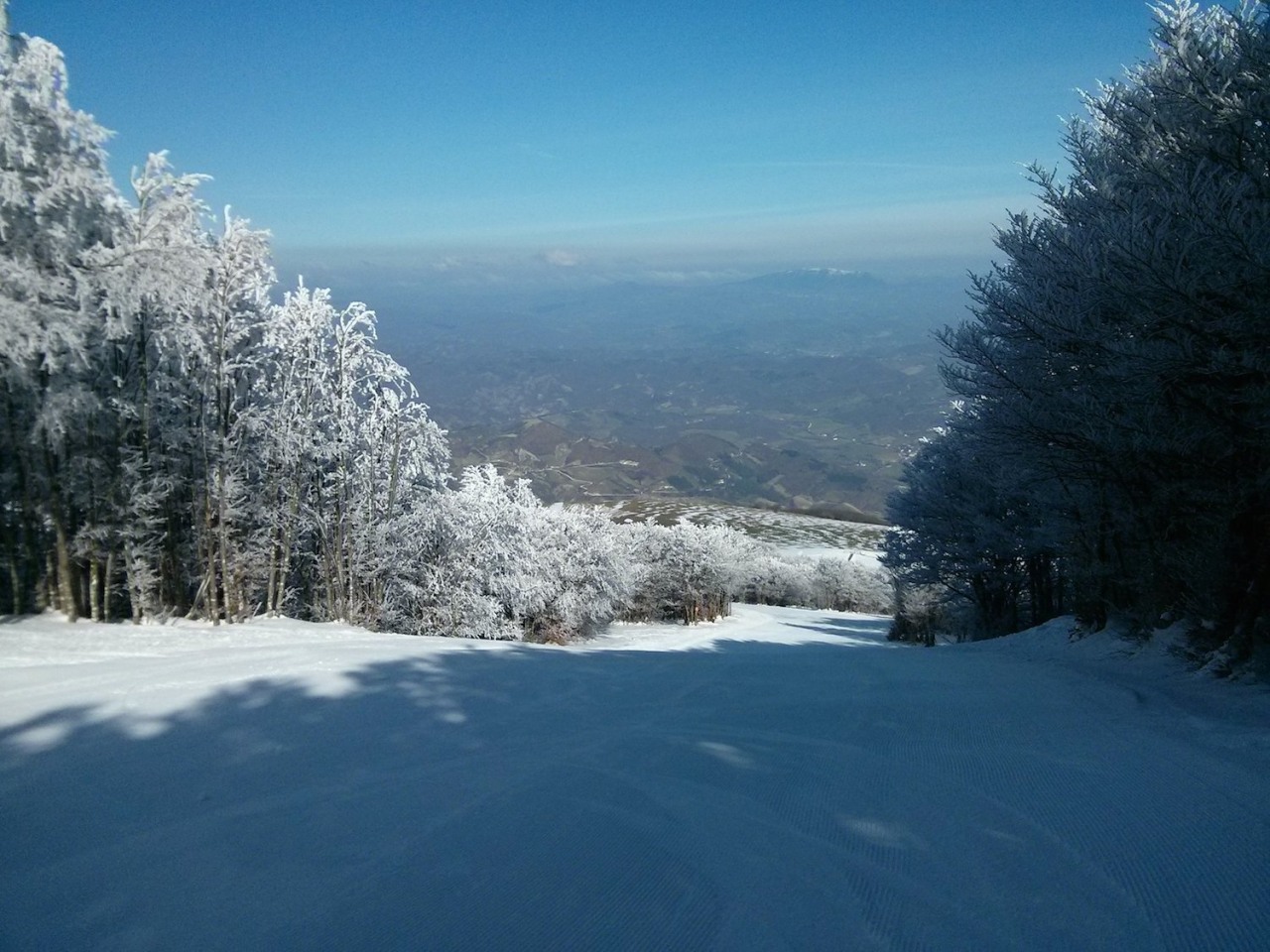 164304-145-rossa-centrale.jpg