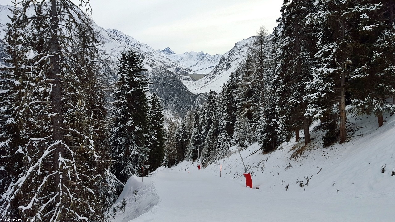 167010-20160103145543.jpg