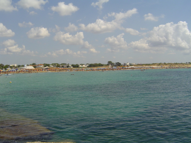 1674-dsc01452.jpg