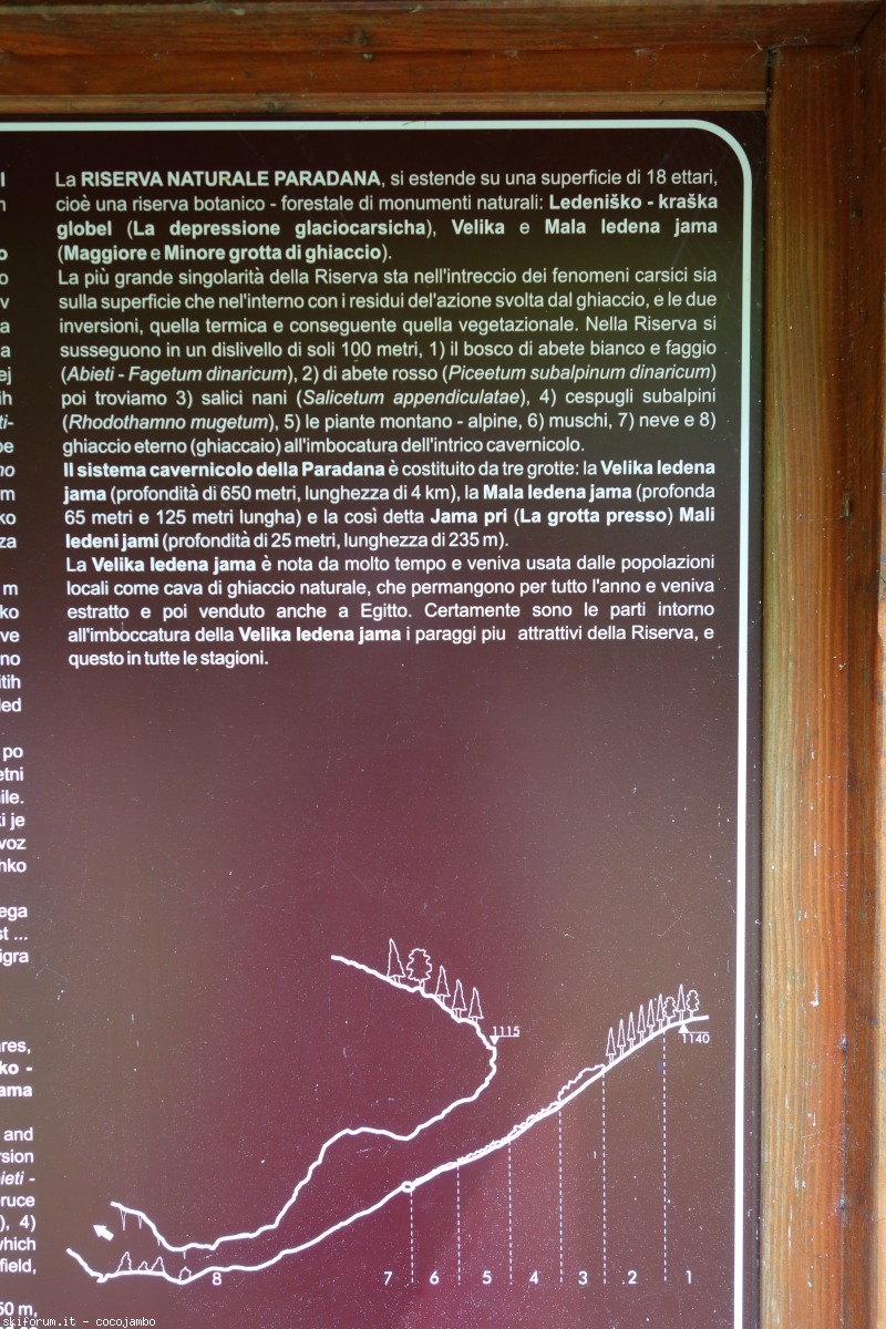 169316-selva-tarnova-50.jpg