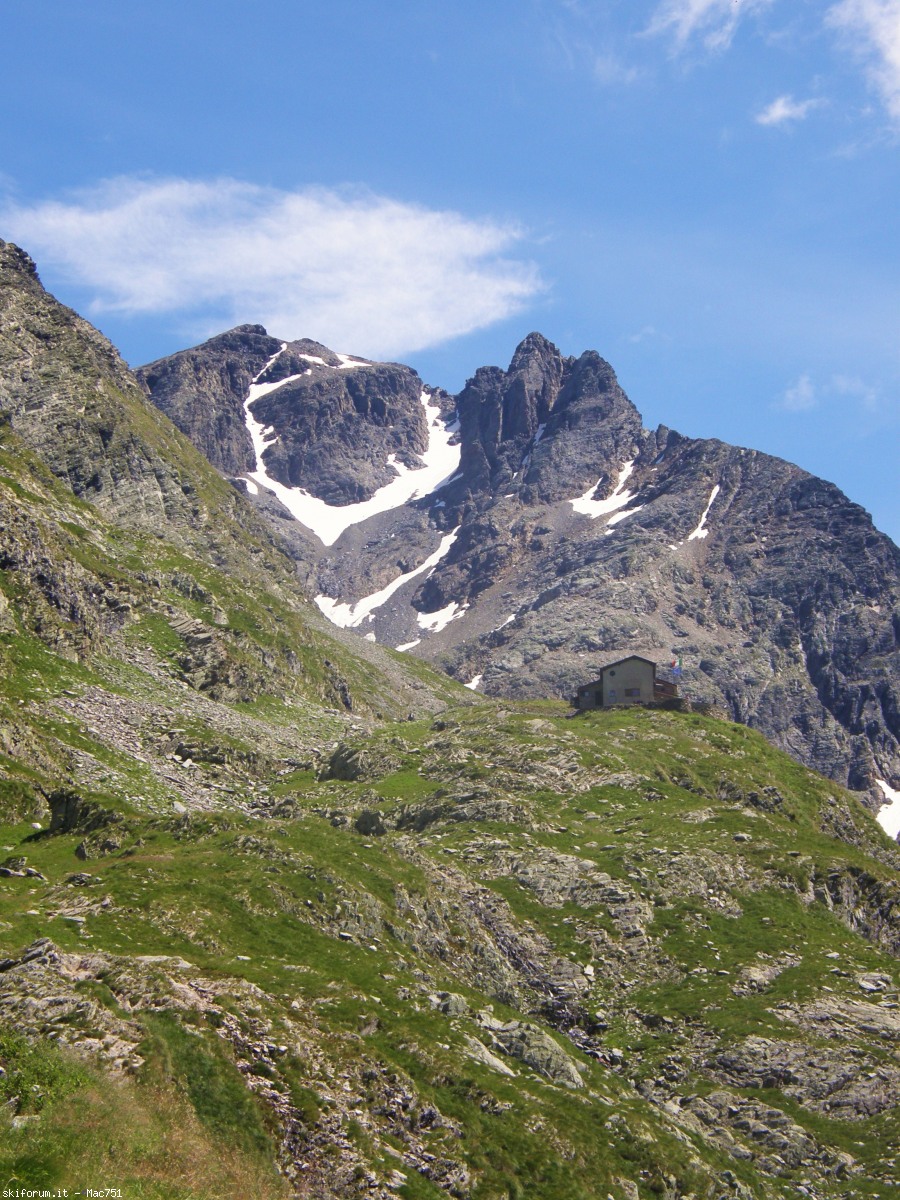 169338-p8100252.jpg