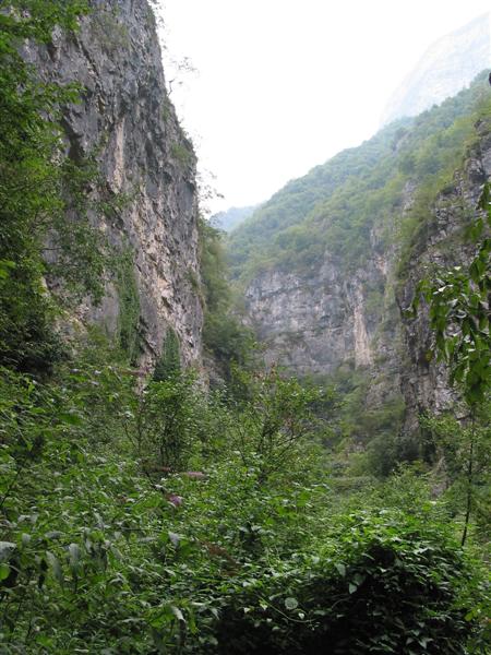 1711-img9621-medium.jpg