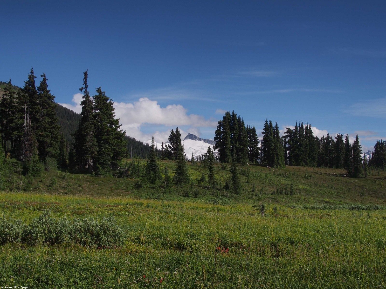173539-black-tusk-37-of-37.jpg