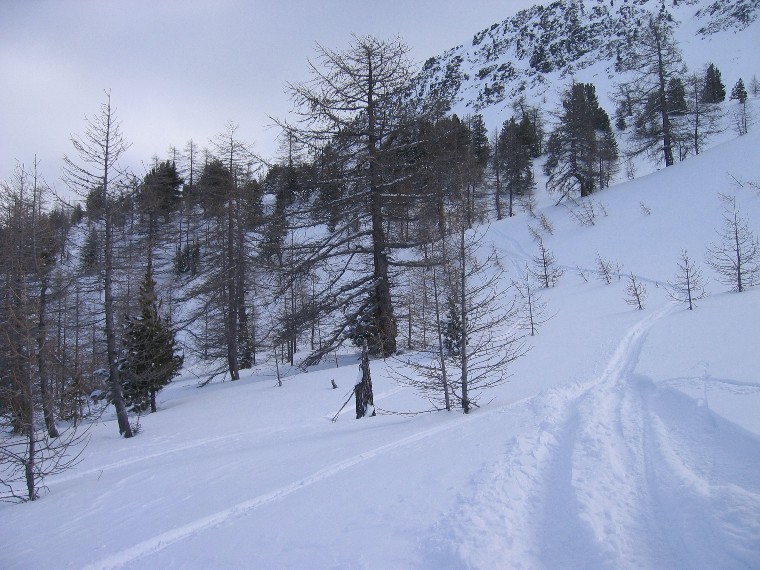 17503-img0021.jpg