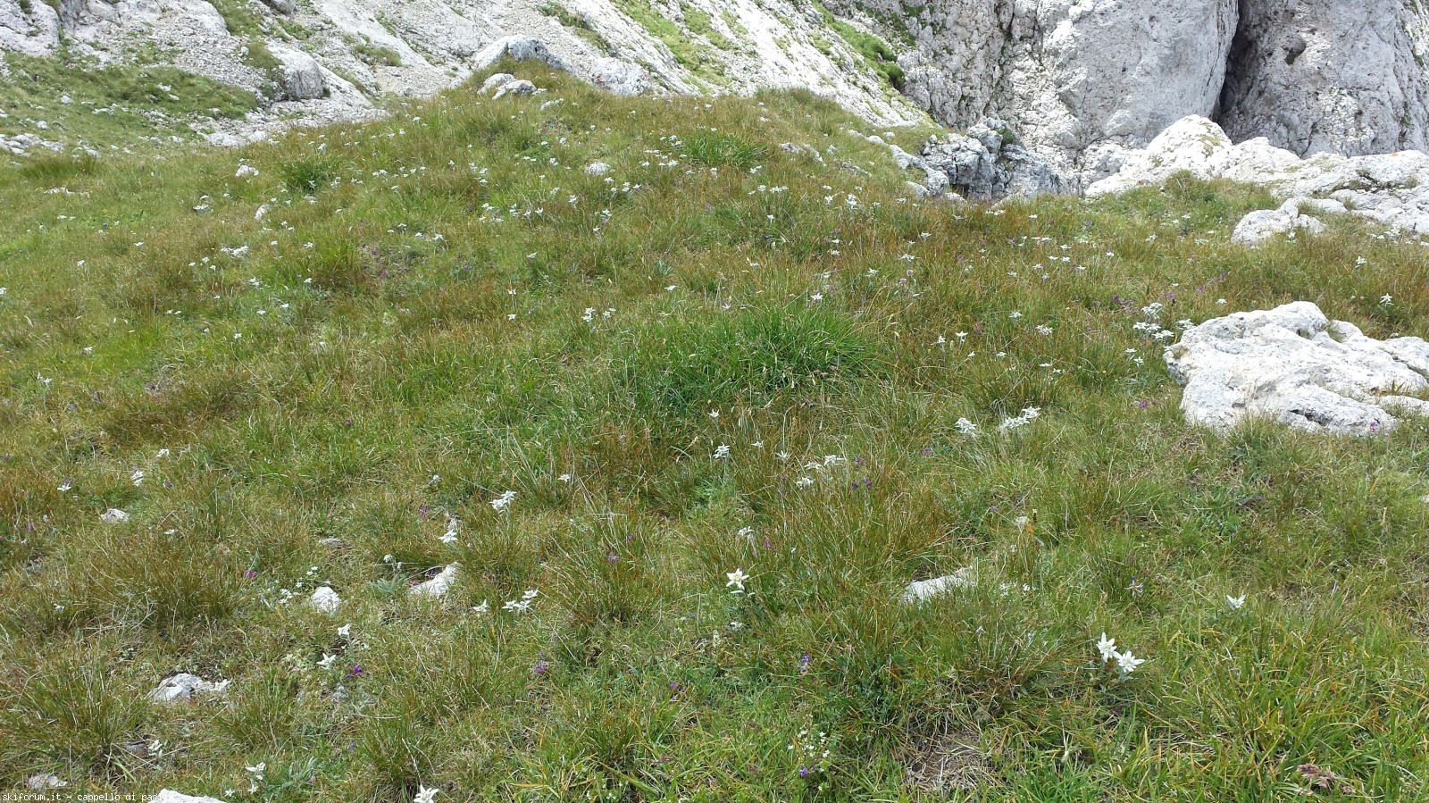 175523-f.jpg