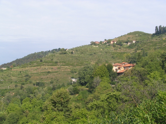 1797-copia-di-varie-022.jpg