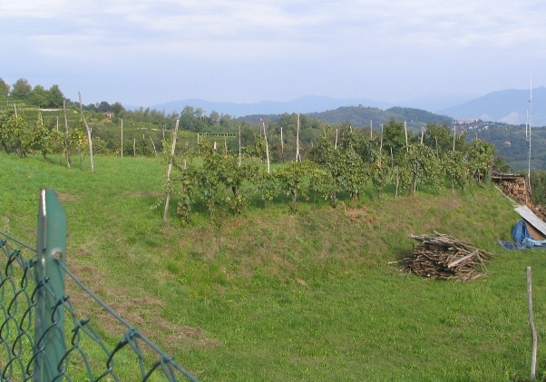 1804-copia-di-varie-005.jpg