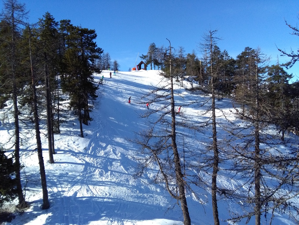 182631-12-montgenevre-piste-tra-gli-alberi-zona-tremplin.jpg