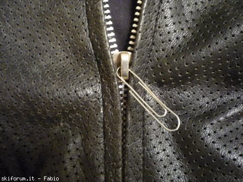 191186-p10403201.jpg