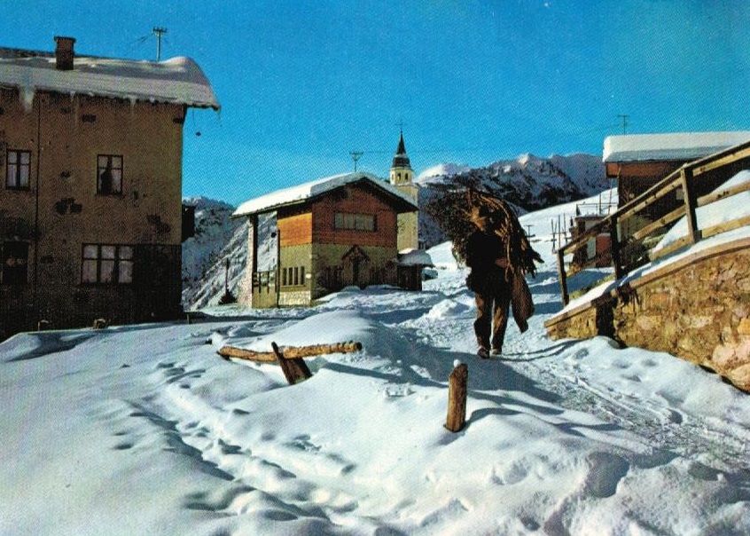 192583-tempchamois2.jpg