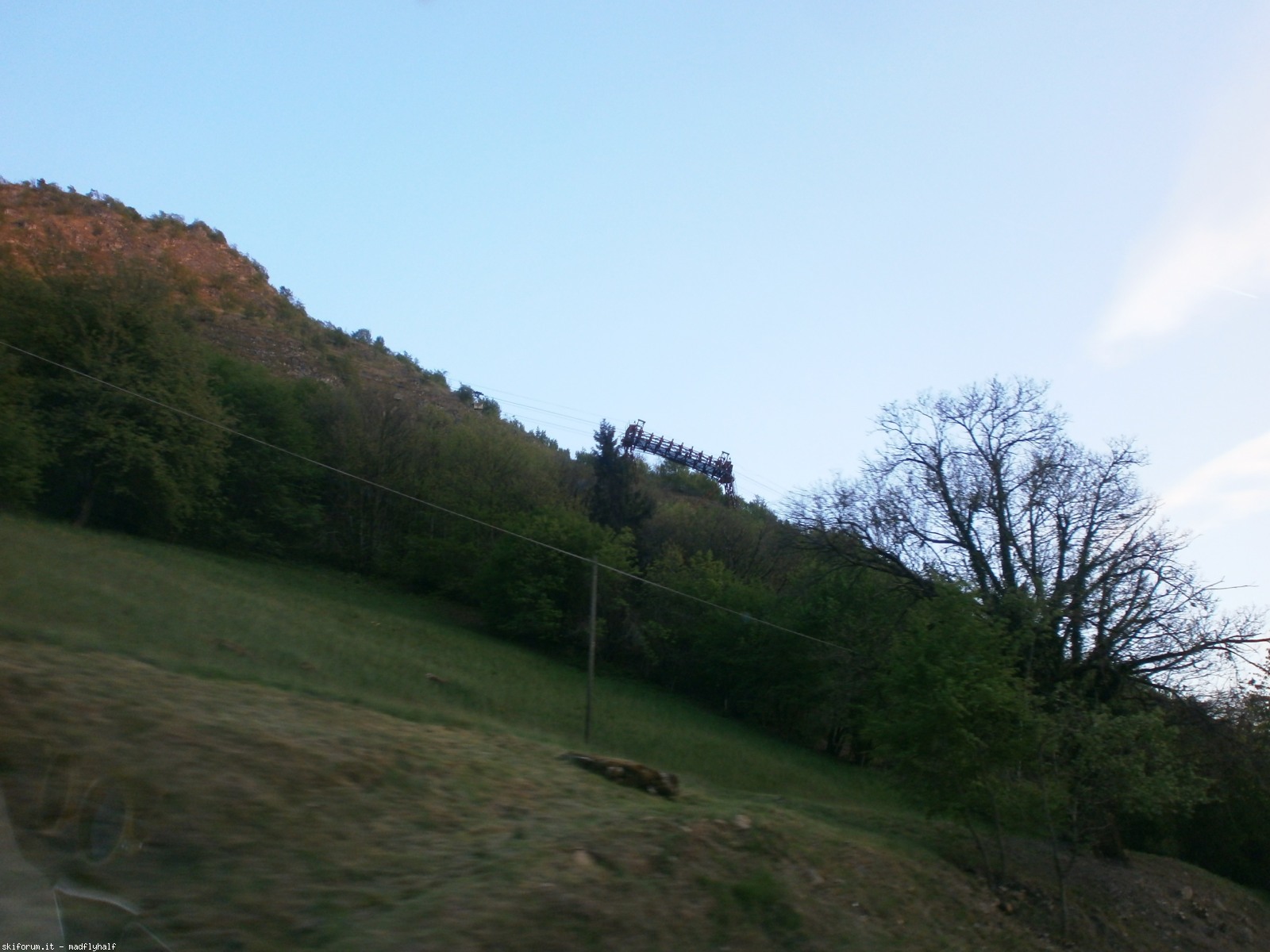 193190-p4220551.jpg