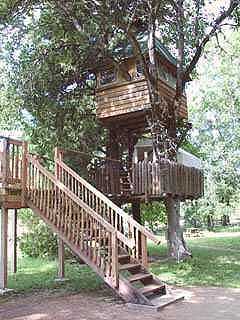 19819-cavaltree2.jpg