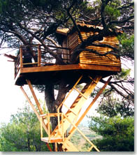 19823-photo2.jpg