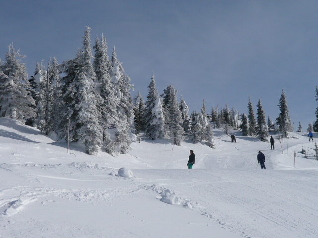 19850-canada-2008-piu-piccole-026.jpg