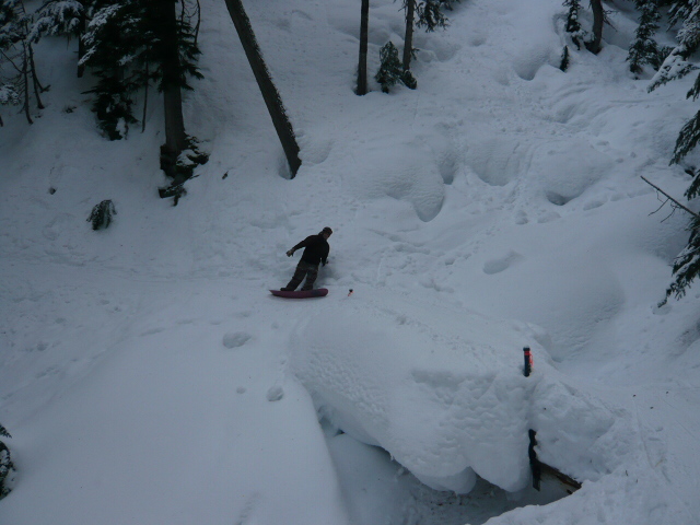 19862-canada-2008-piu-piccole-052.jpg