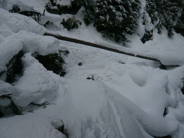 19863-canada-2008-piu-piccole-053.jpg