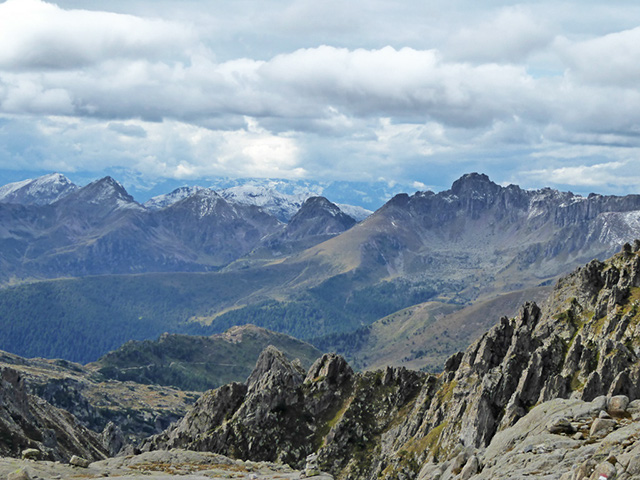201001-p1020582.jpg