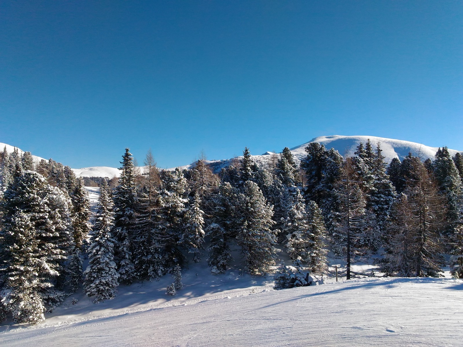 204623-p20171203113715.jpg