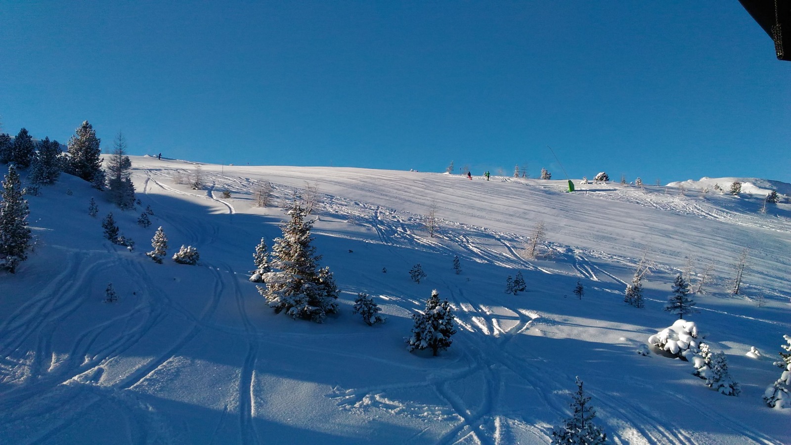 204626-img-20171203-wa00281.jpeg