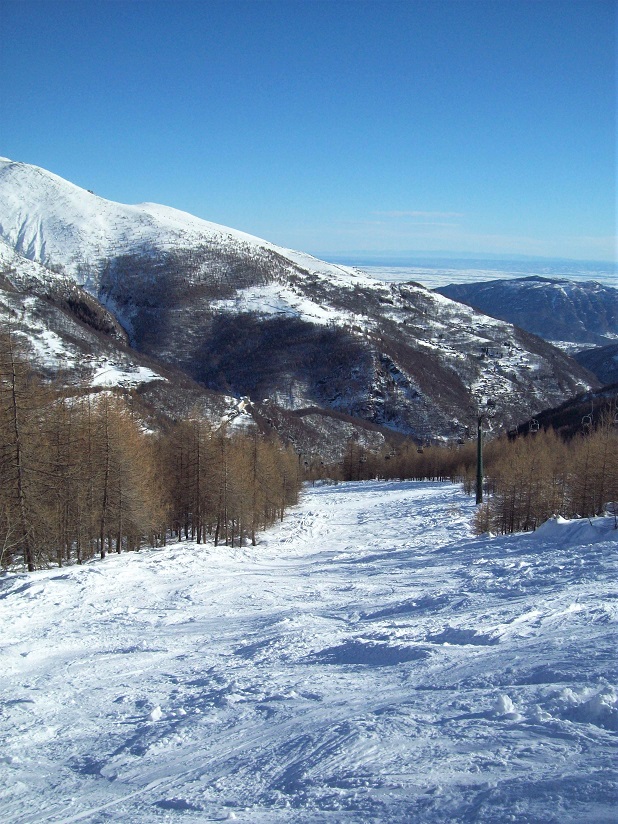 205457-1011359-1.jpg