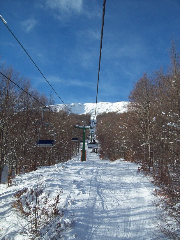 206061-1011425.jpg