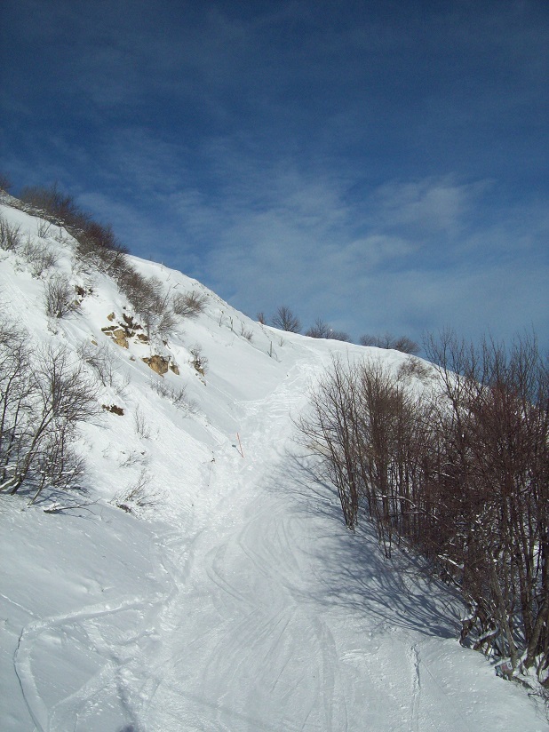 206067-1011437.jpg