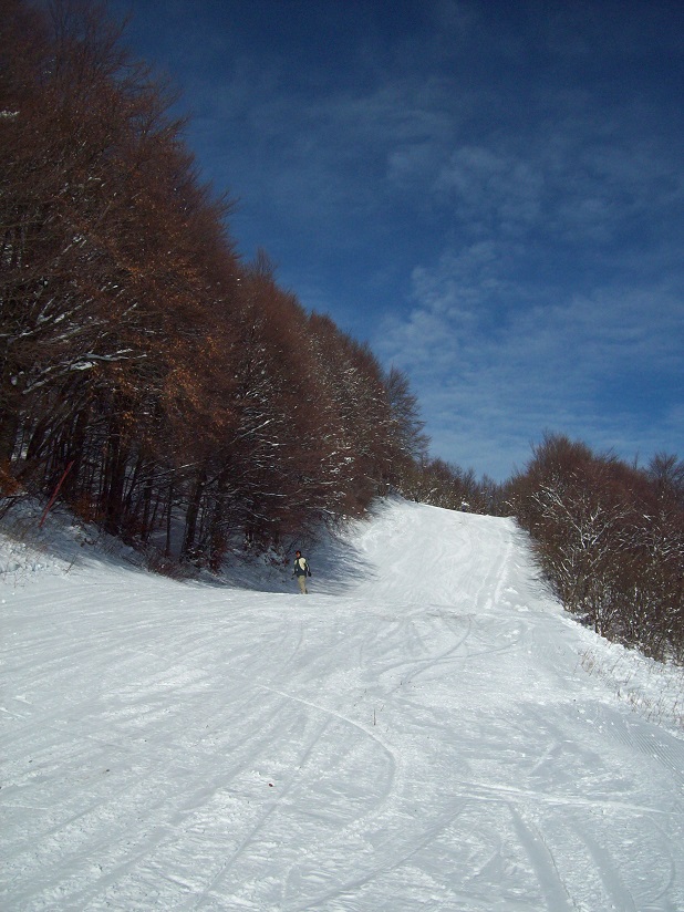 206073-1011463.jpg