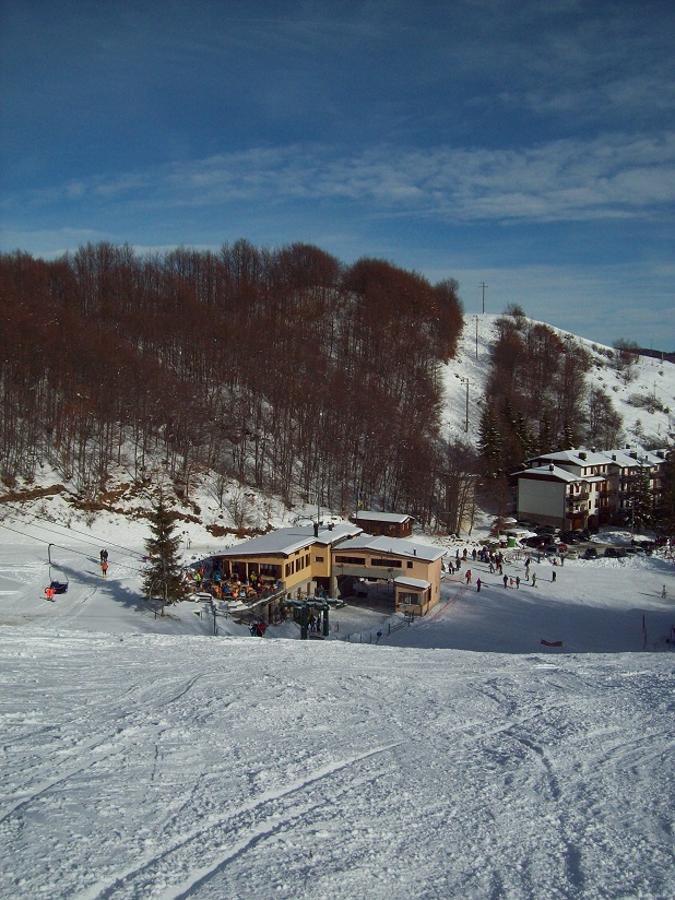 206074-1011471.jpg