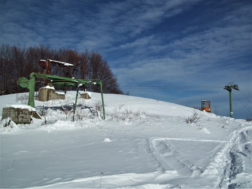 206076-1011467.jpg