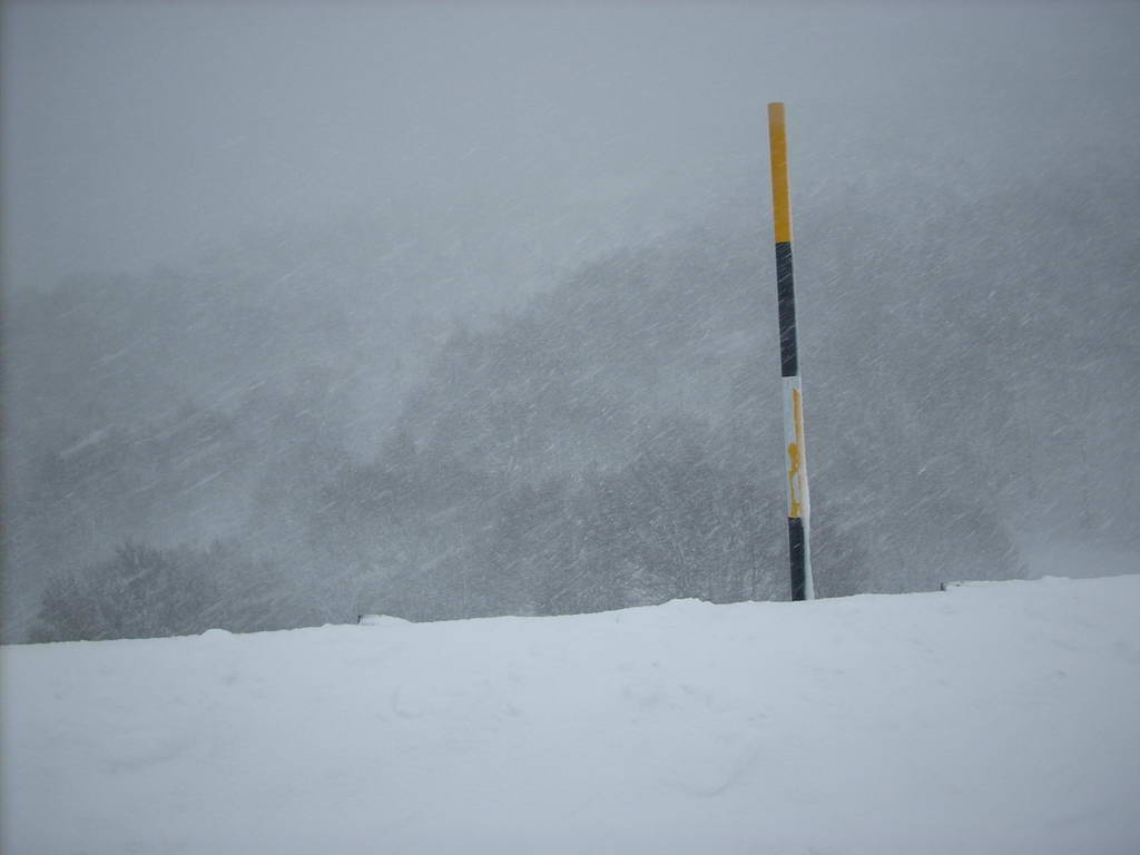21158-neve2.jpg
