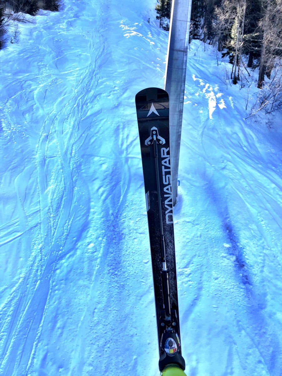 スキー FISCHER GS175cm R21 FISCHER GS175cm R21 スキー