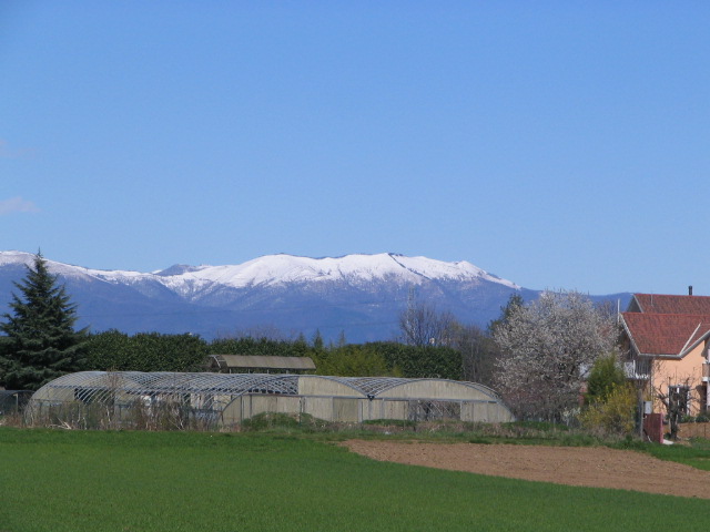 21266-immagine-002.jpg