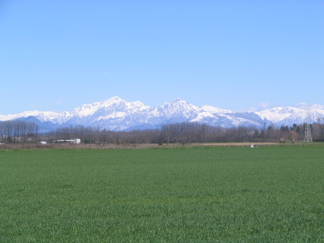 21267-immagine-008.jpg