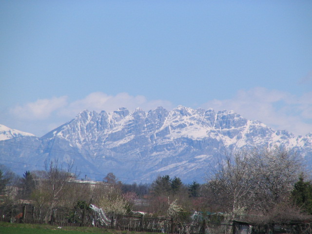 21269-immagine-011.jpg