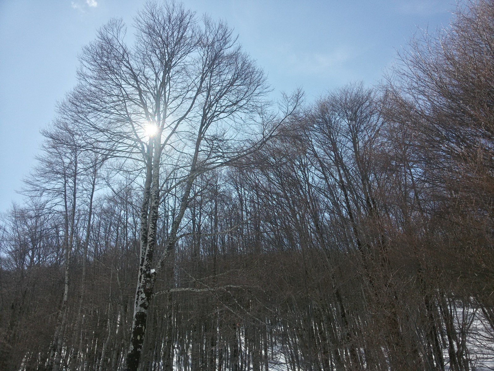 213610-20180328143716richtonehdr.jpg