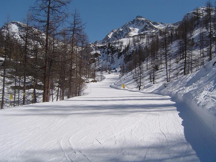 21526-dei-larici.jpg