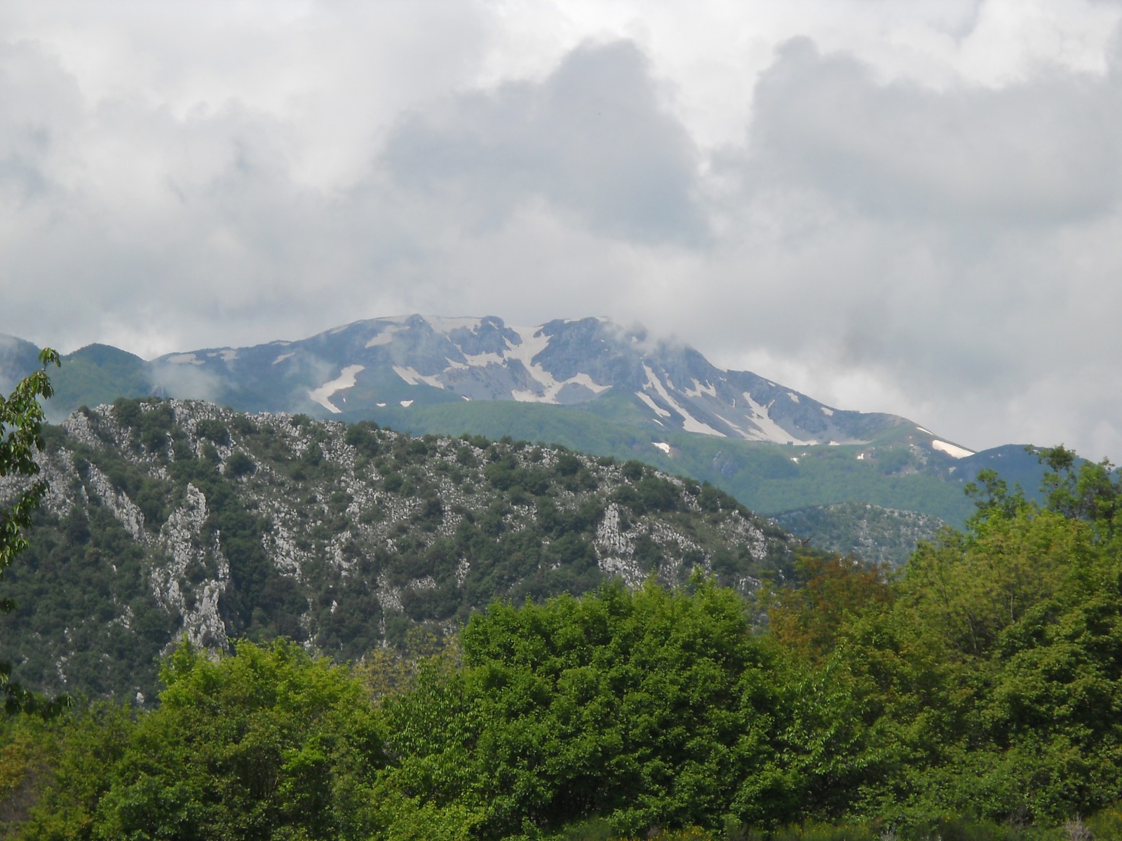 216491-3.jpg