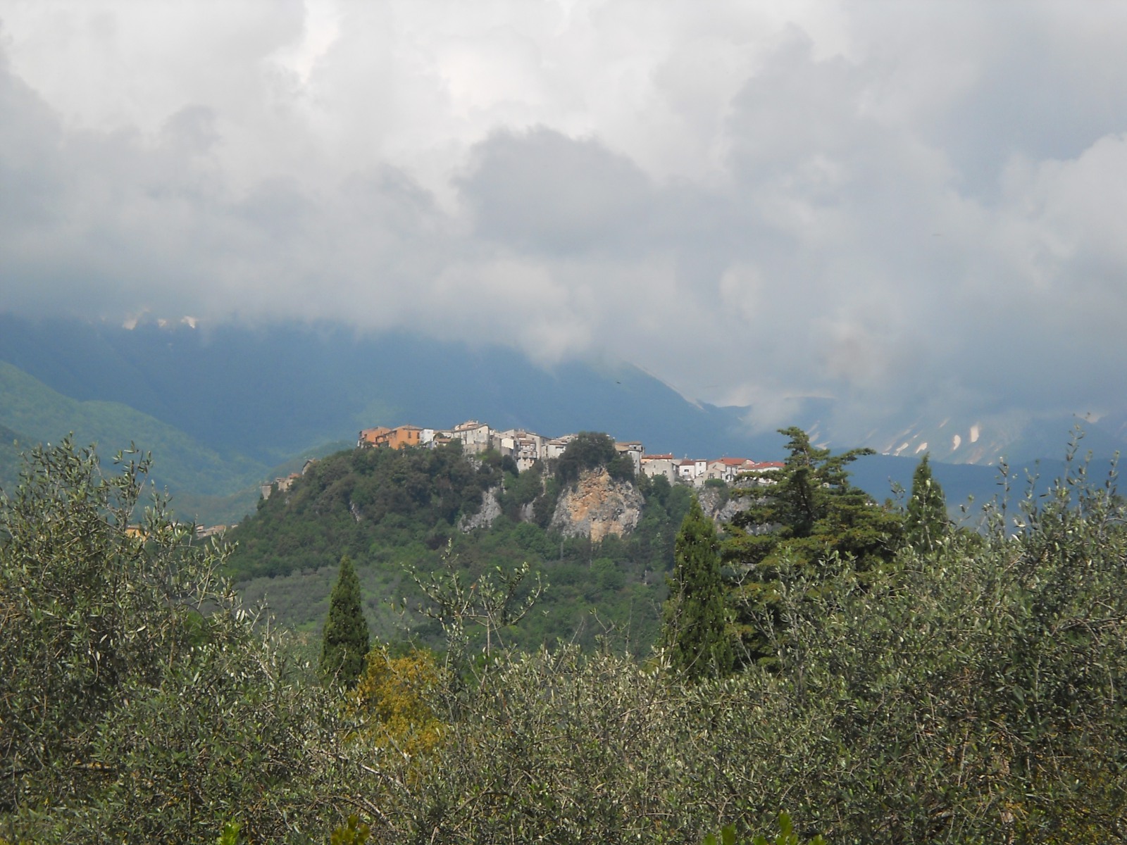 216493-5.jpg