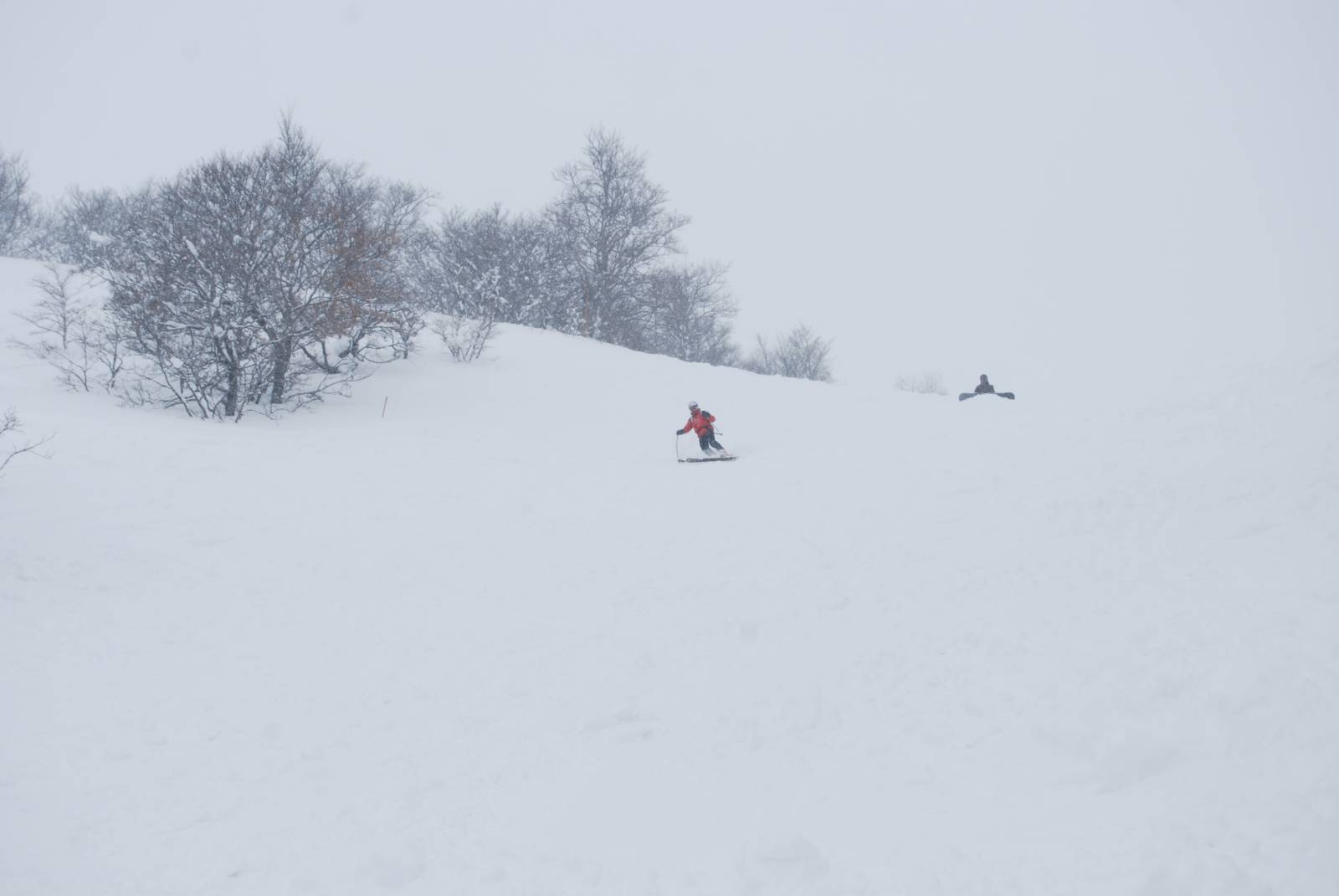 21707-20.jpg