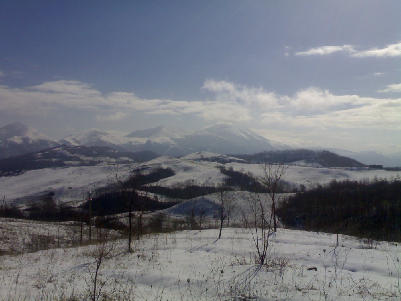 21814-250320081453.jpg