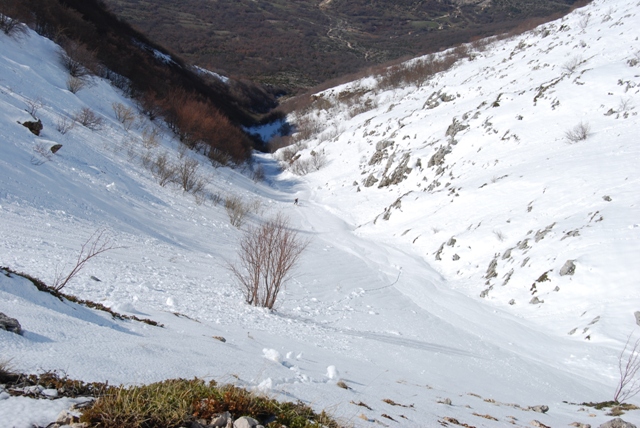 22005-dsc0010.jpg