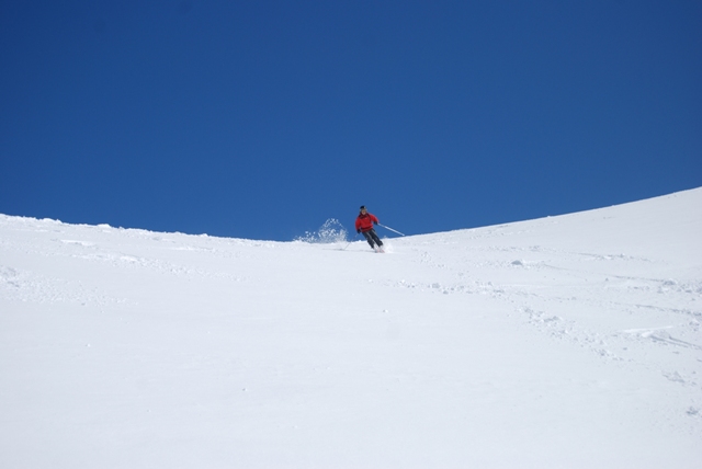 22015-dsc0150.jpg