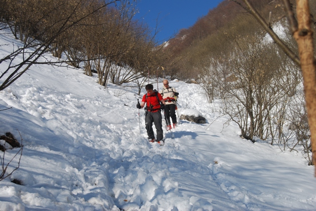 22050-dsc0508.jpg