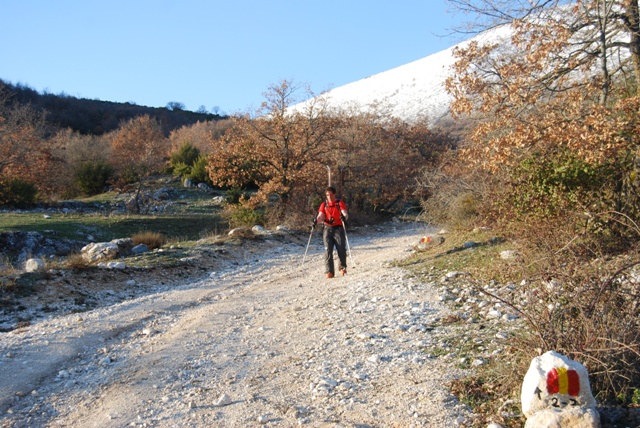 22053-dsc0530.jpg