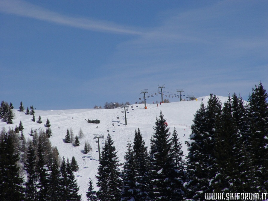 2220-wlf-seggiovia-alberi.jpg