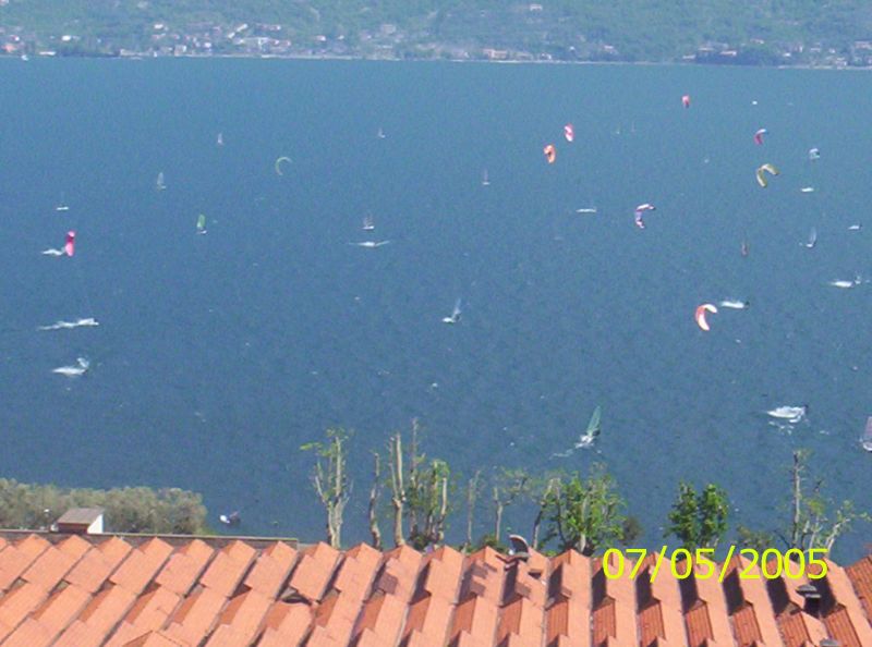 22346-f.jpg