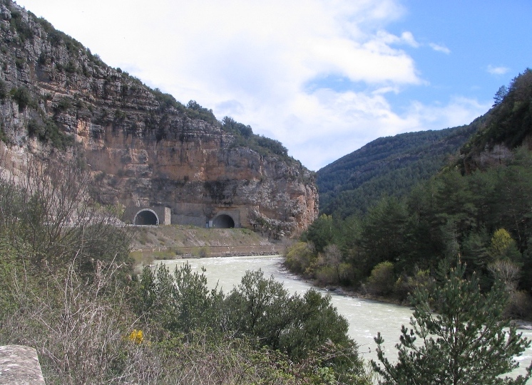 23447-copia-di-immagine-195.jpg