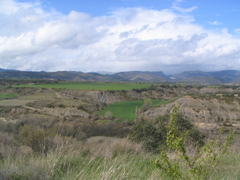 23450-copia-di-immagine-217.jpg