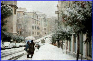2475-quartiere-monteverde.jpg
