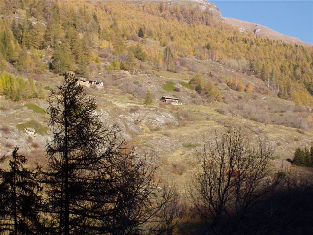 2501-autunno2006-039.jpg